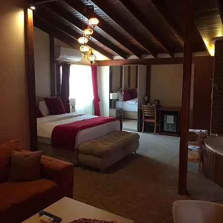 Ξενοδοχείο Antik 2*