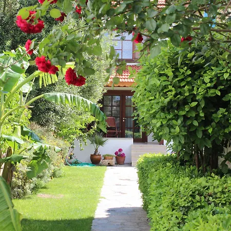 Ξενοδοχείο Antik Foca